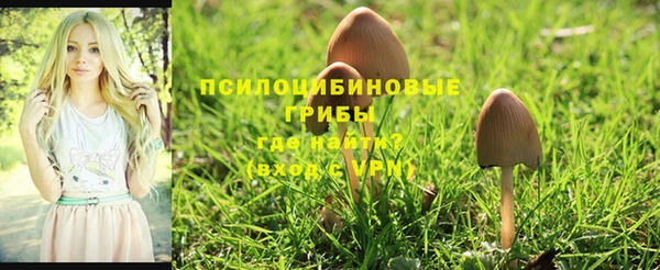 mdpv Янаул