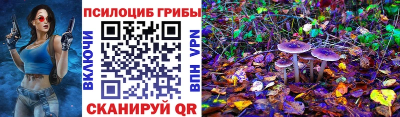 kraken как войти  Спасск  Псилоцибиновые грибы ЛСД 